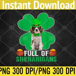 Leprechaun Cavalier King Charles Spaniel Dog St Patricks Day PNG Digital Download