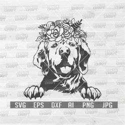 floral labrador svg | cute dog clipart | peeking dog stencil | peeking animal cut file | lovely puppy png | smart labrad