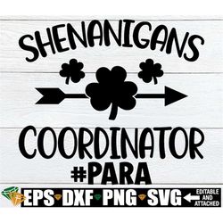 shenanigans coordinator, para st. patricks day svg, paraprofessional svg, para st. patricks day shirt svg, st. patrick's