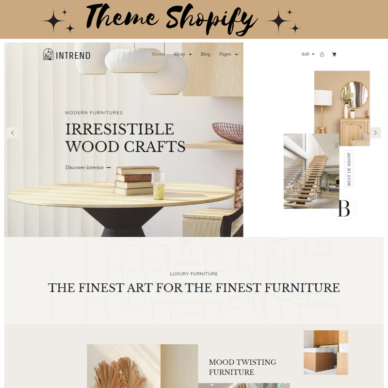 Theme Shopify (4).png