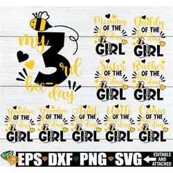 my 3rd bee-day, matching family bee theme birthday, girls matching family 3rd birthday,bee theme family birthday,matchin