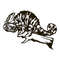 MR-308202320317-chameleon-svg-digital-file-chameleon-for-printing-on-image-1.jpg