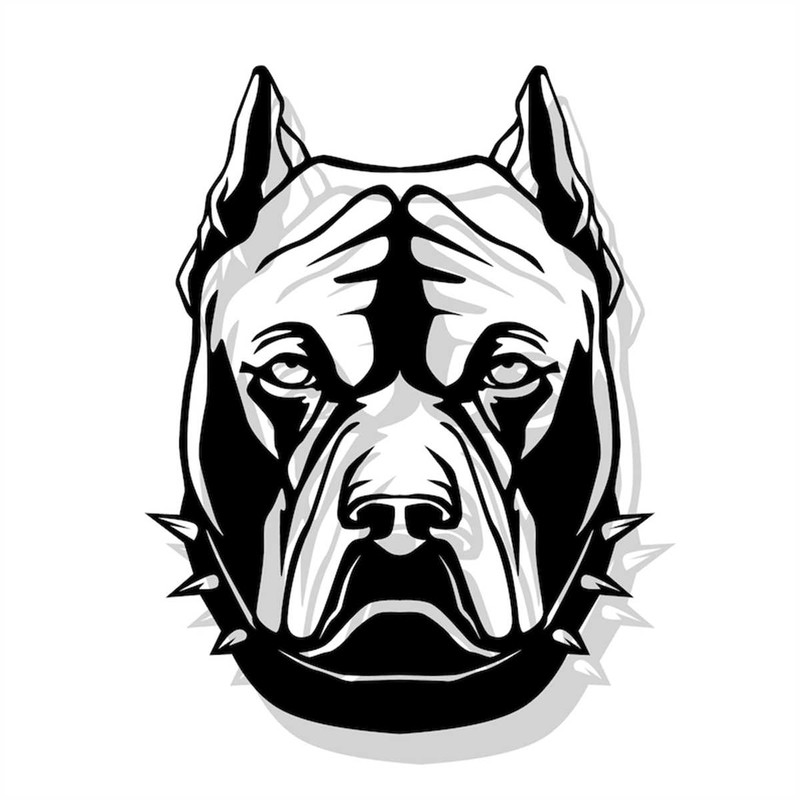 MR-3082023205729-pitbull-svg-digital-file-pitbull-for-printing-on-t-shirts-image-1.jpg