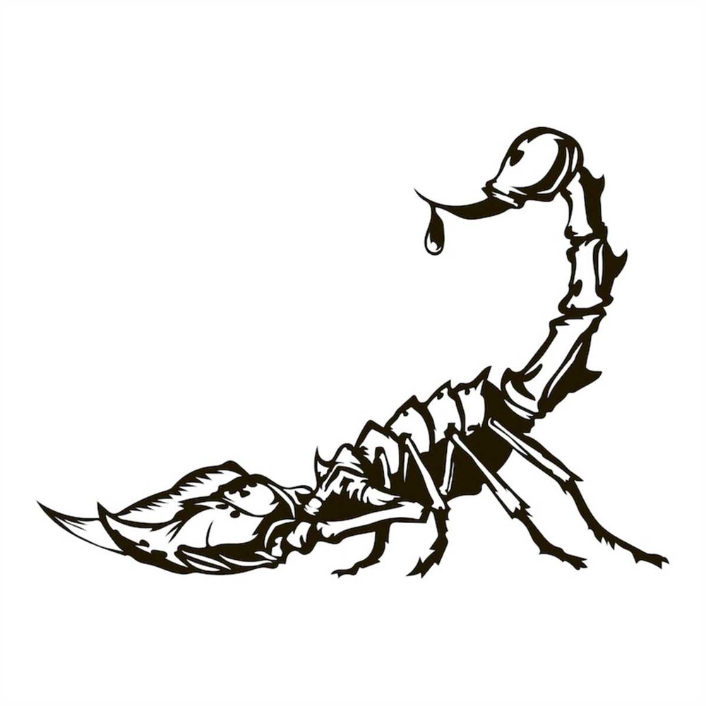 MR-3082023212827-scorpion-svg-digital-file-scorpion-for-printing-on-t-shirts-image-1.jpg