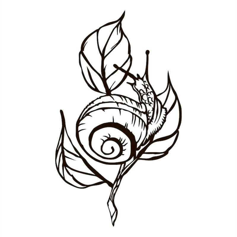 MR-308202322645-snail-svg-digital-file-snail-for-plywod-cut-file-for-paper-image-1.jpg