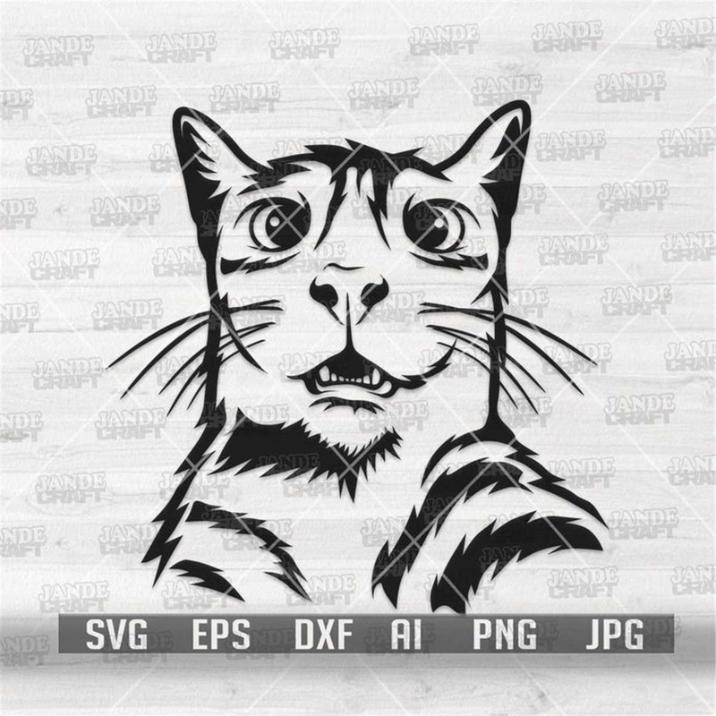 MR-3082023221741-funny-cat-shocked-face-svg-trash-animal-clipart-street-image-1.jpg