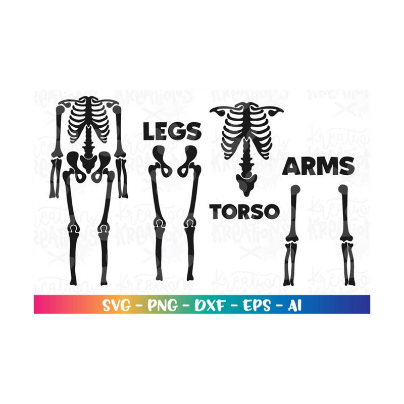 MR-3082023234048-halloween-svg-skeleton-halloween-body-parts-svg-decal-print-image-1.jpg