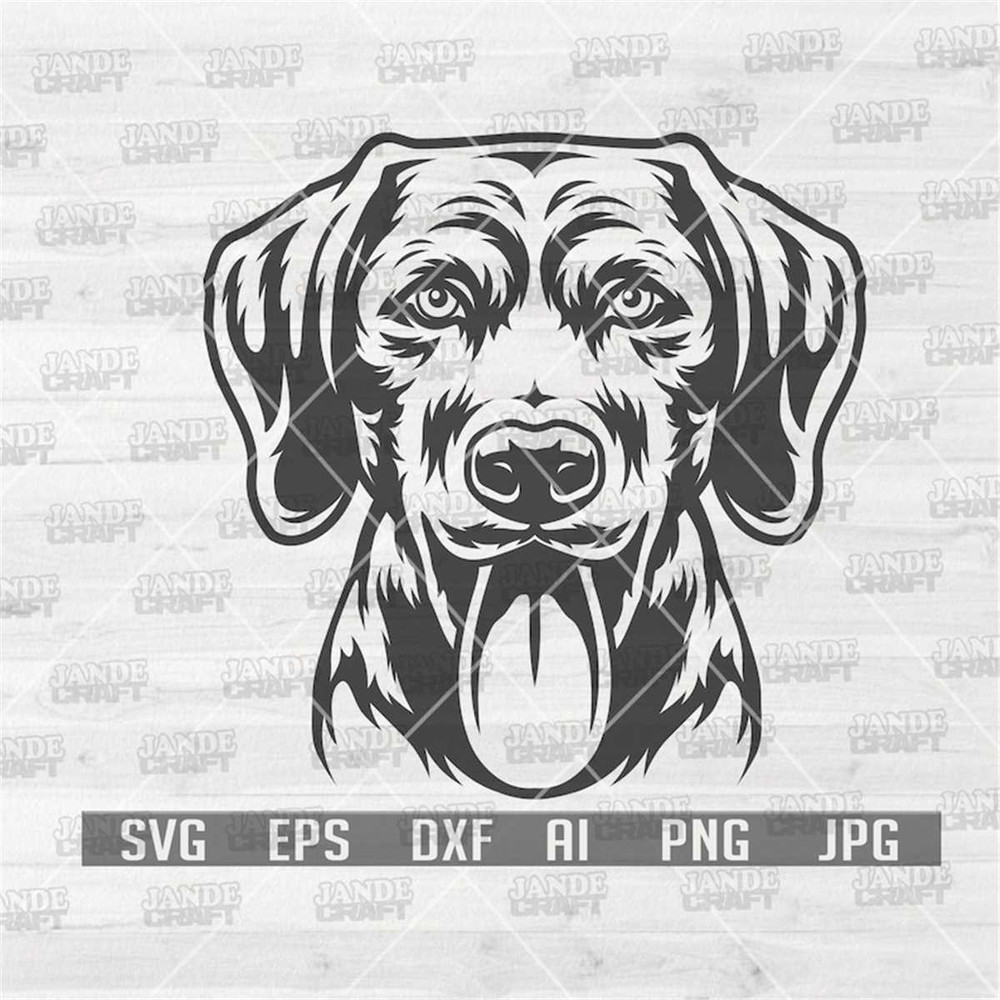 MR-318202301625-labrador-svg-dog-lover-shirt-design-png-paw-cut-file-pet-image-1.jpg