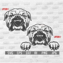 bulldog svg | bulldog peeking svg | peeking animal svg | bulldog png | bulldog clipart | bulldog cutfile | bulldog shirt