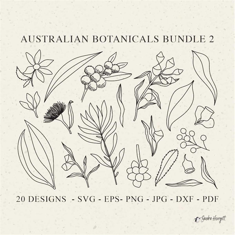 MR-318202375711-australian-botanicals-plotter-file-svg-dxf-png-eps-jpg-image-1.jpg