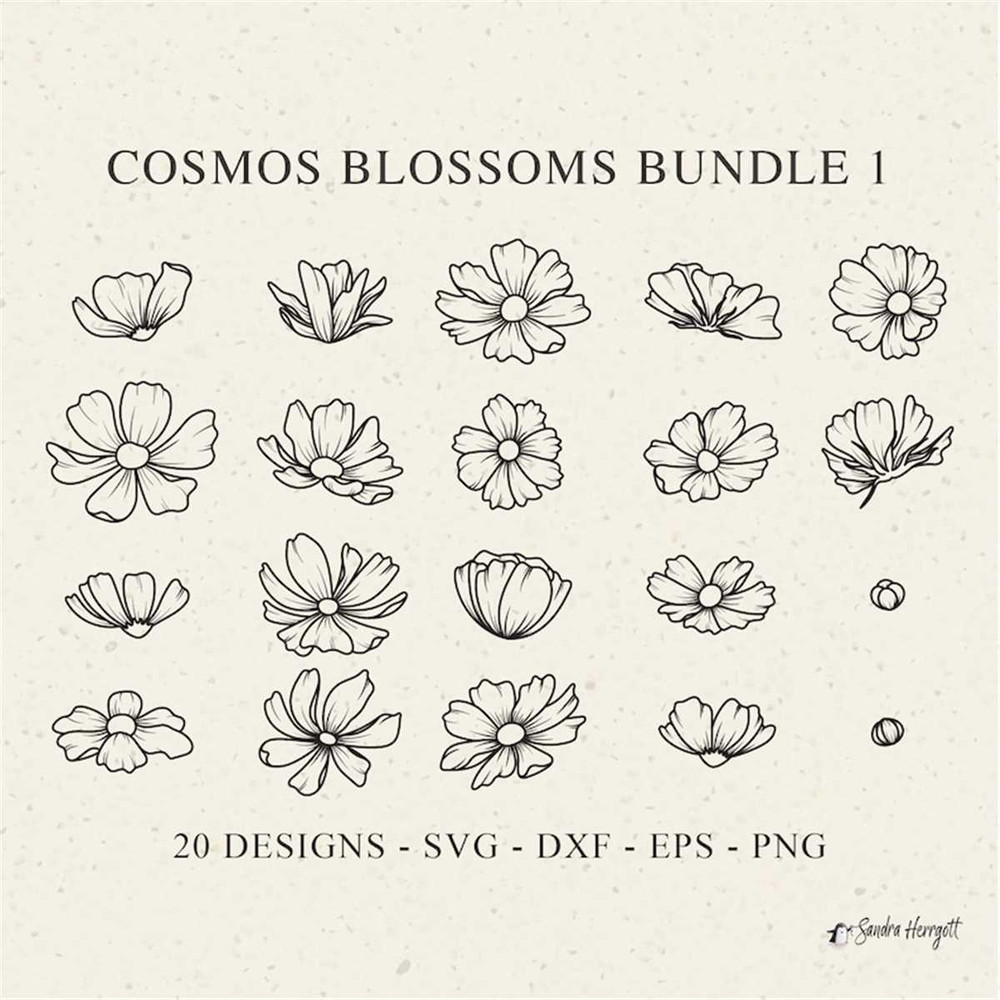 MR-3182023846-cosmos-blossom-plotter-file-svg-dxf-png-floral-cricut-flower-image-1.jpg