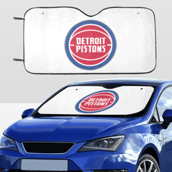 Detroit Car SunShade