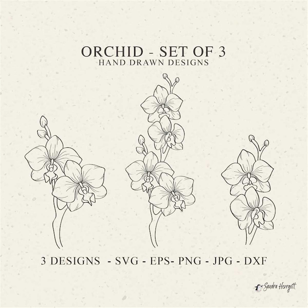 MR-318202385716-orchid-blossom-plotter-file-svg-dxf-png-eps-jpg-wildflower-image-1.jpg