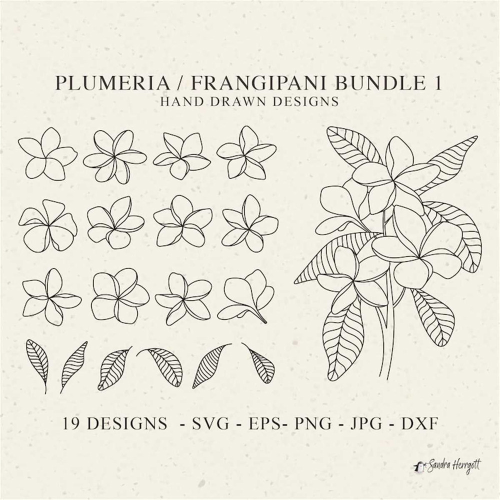 MR-318202392851-plumeria-flower-plotter-file-svg-dxf-png-eps-jpg-tropical-image-1.jpg