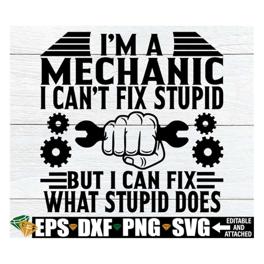MR-318202393930-im-a-mechanic-i-cant-fix-stupid-but-i-can-fix-what-image-1.jpg