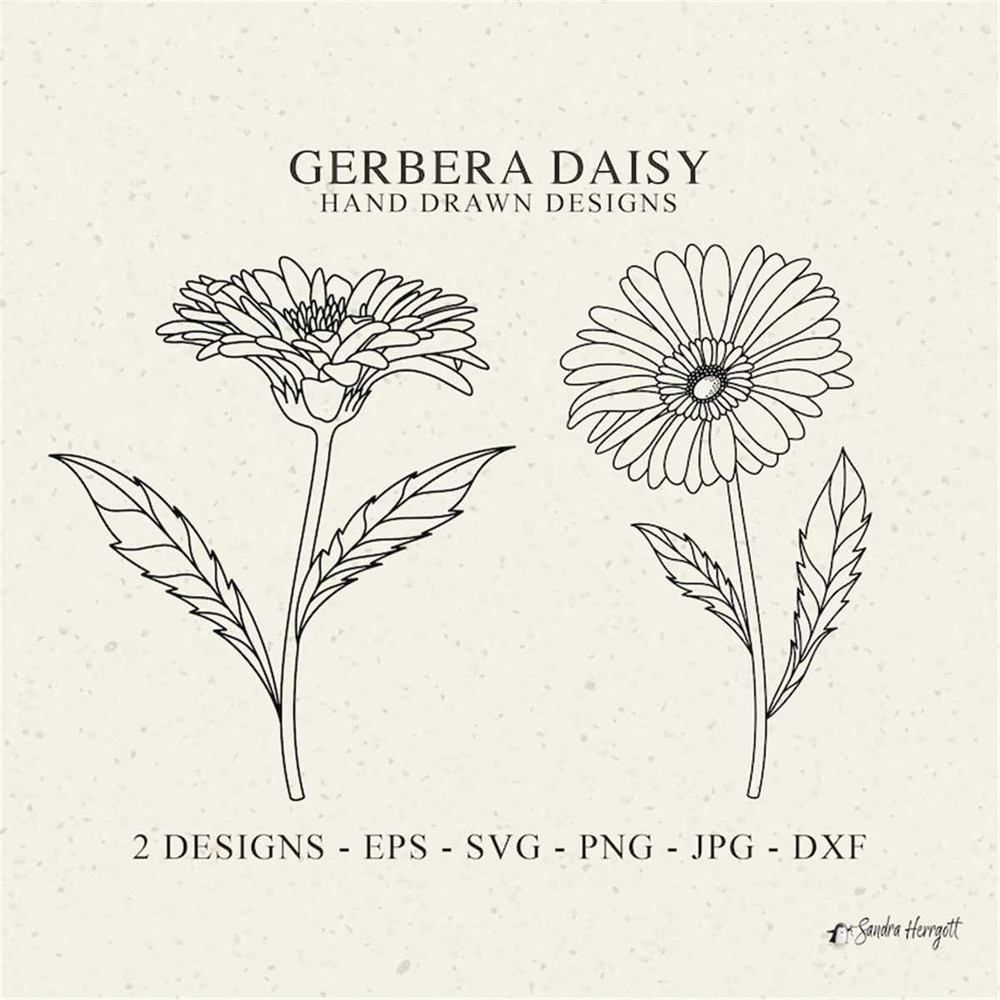 MR-3182023101413-gerbera-daisy-plotter-file-svg-dxf-png-jpg-cute-wildflower-image-1.jpg