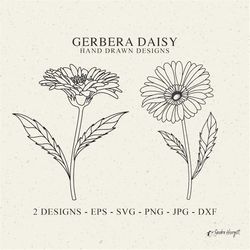 gerbera daisy plotter file svg dxf png jpg cute wildflower cricut botanical floral clipart garden plant silhouette weddi