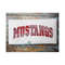 MR-318202311644-mustangs-arched-image-1.jpg