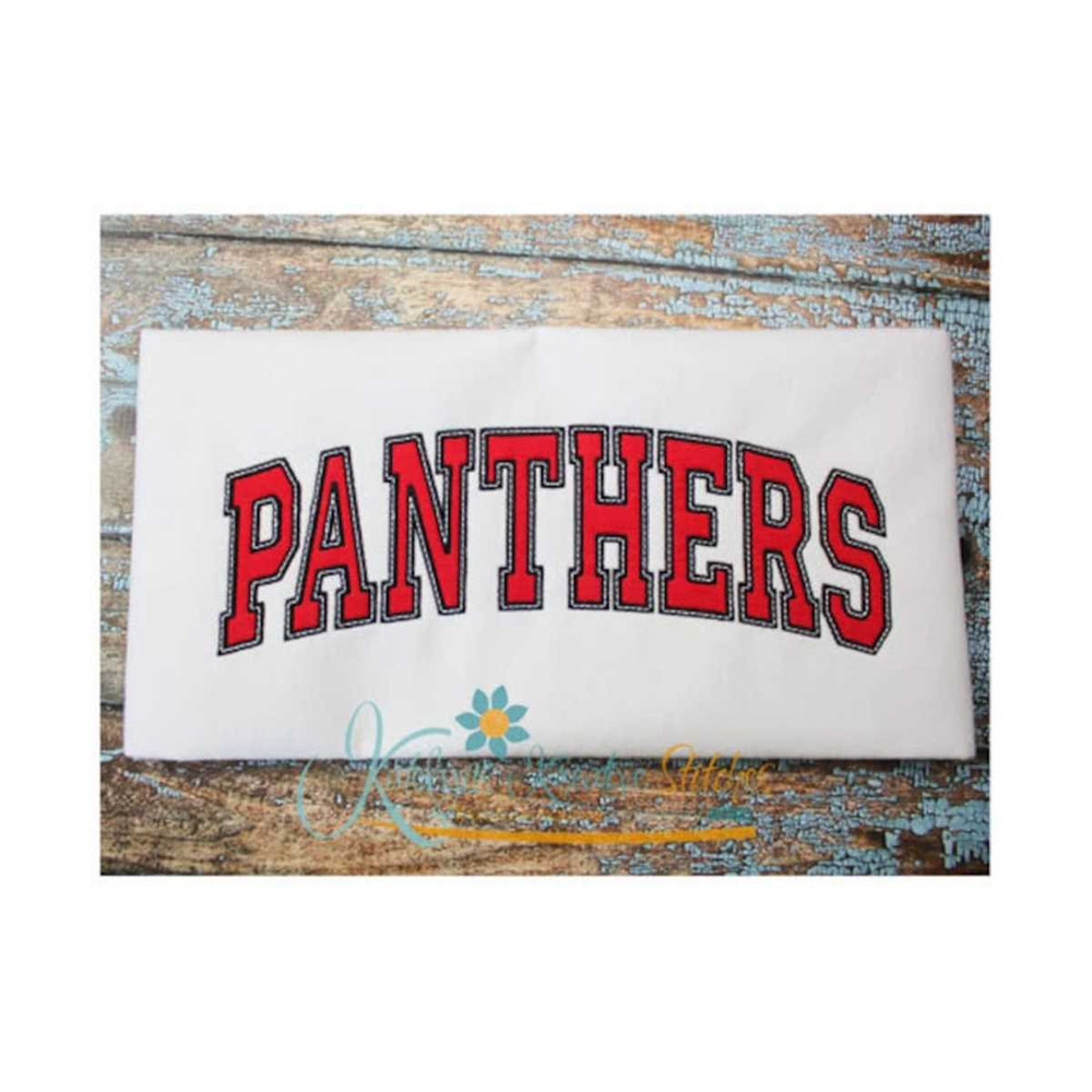 MR-3182023114945-panthers-arched-image-1.jpg