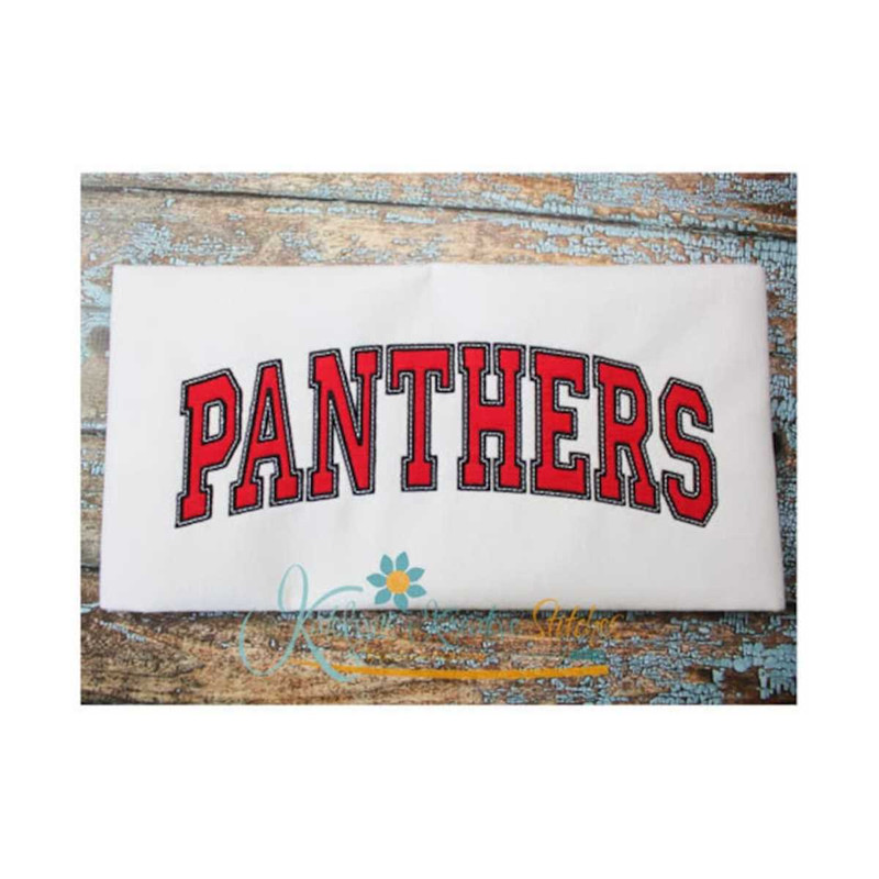 MR-3182023114945-panthers-arched-image-1.jpg