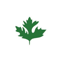 tropical leaf,digital, palm leaves svg,jungle leaves svg,monstera leaf svg,tropical leaves svg , silhouette, cut files,