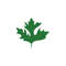 MR-3182023134823-tropical-leafdigital-palm-leaves-svgjungle-leaves-image-1.jpg