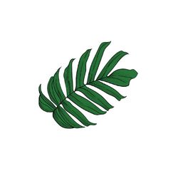 monstera leaf svg,tropical leaves svg , silhouette, cut files, circut cutting file ,tropical leaf, palm leaves svg,jungl