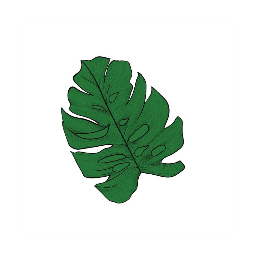 MR-3182023141241-monstera-leaf-svgtropical-leaves-svg-silhouette-cut-files-image-1.jpg