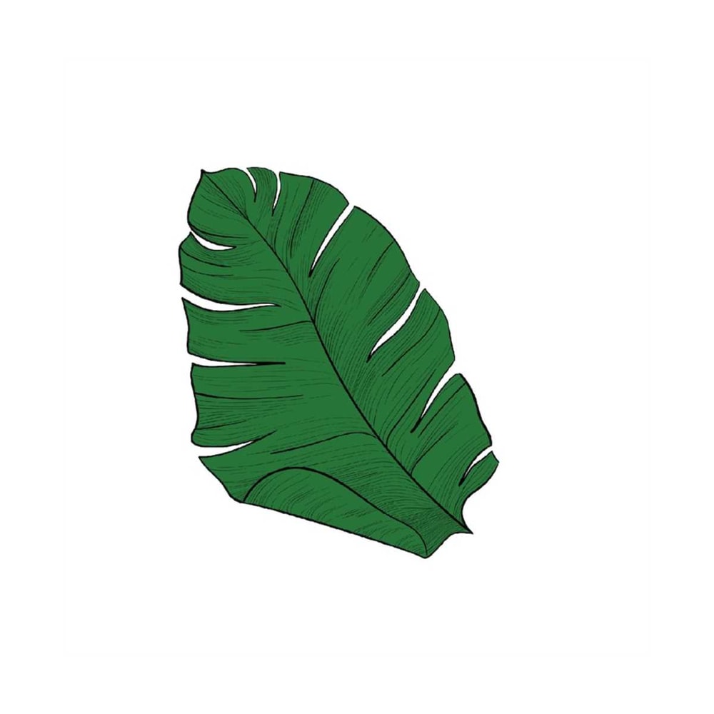 MR-3182023141316-monstera-leaf-svgtropical-leaves-svg-silhouette-cut-files-image-1.jpg