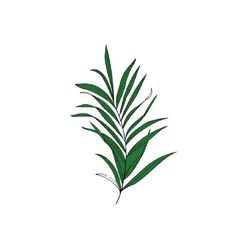 tropical leaves svg , silhouette, cut files, circut cutting file ,monstera leaf svg,tropical leaf, palm leaves svg,jungl