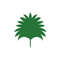 MR-3182023143917-palm-leaves-svgjungle-leaves-svgmonstera-leaf-svgtropical-image-1.jpg