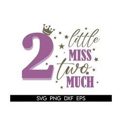 little miss two much svg, second birthday svg, 2nd birthday svg, birthday svg, birthday girl svg, gift, birthday shirt s