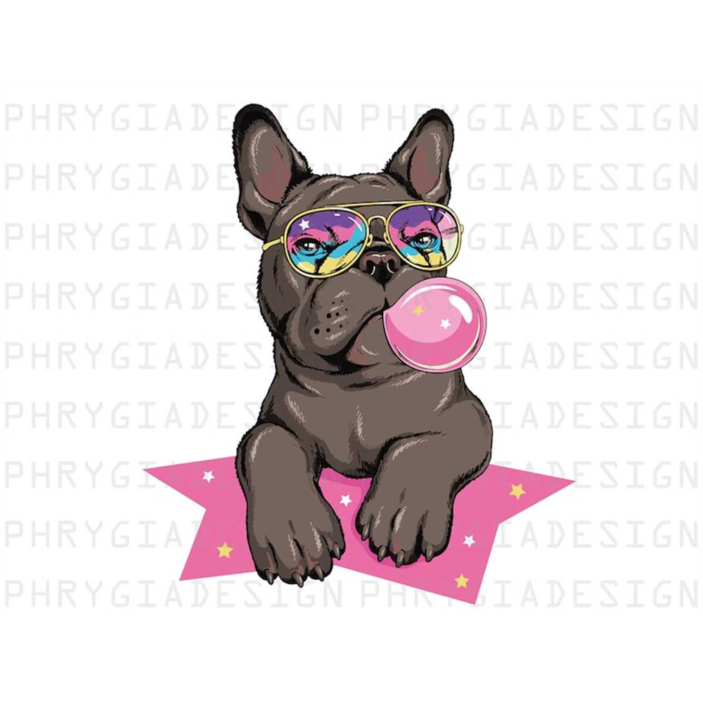 MR-318202316856-french-bulldog-with-bubble-gum-french-bulldog-png-french-image-1.jpg