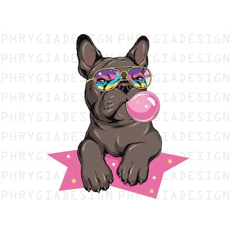 MR-318202316856-french-bulldog-with-bubble-gum-french-bulldog-png-french-image-1.jpg