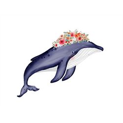watercolor whale png , floral whale , cute whale , whale clipart , digital download , instant download