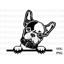 french bulldog svg , peeking french svg , french bulldog png , french bulldog cut file , dog lover , digital download ,
