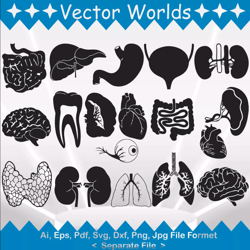Human Organs svg, Human Organ SVG, Human, Organs, SVG, ai, pdf, eps, svg, dxf, png, Vector