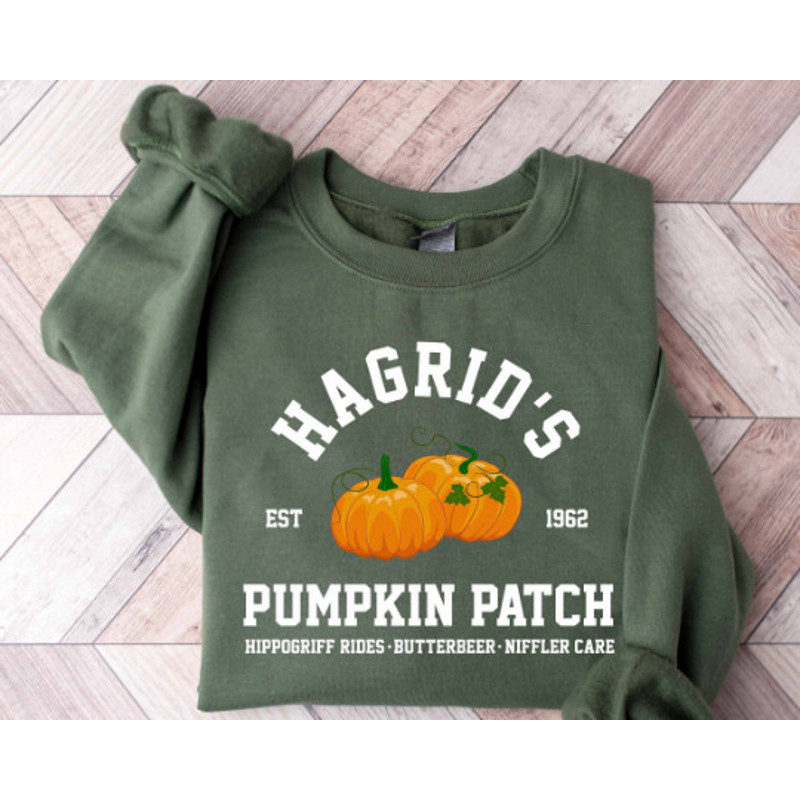 z4660123653145c386fd9cc49decca5aa849ac13c31cffjpg