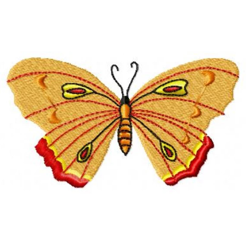 Orrange butter embroidery design