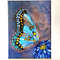 Bright-butterfly-acrylic-painting-on-canvas-wall-decor.jpg