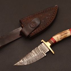 custom handmade forged damascus steel hunting knife w/stag crown birtday gift
