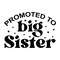 Promoted to big sister.png