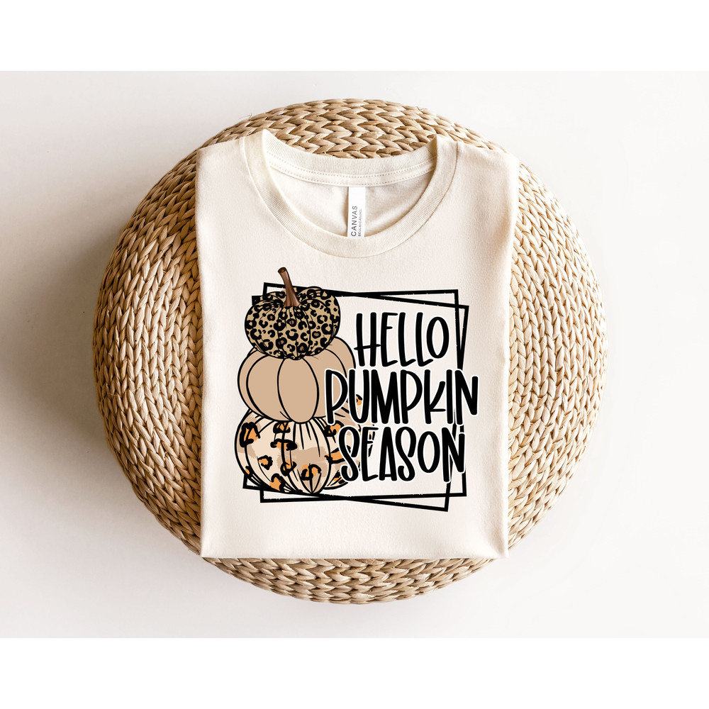 Fall Pumpkin Season Shirt,Cute Fall Shirt ,Thanksgiving Tshirt,Vintage Thanksgiving Crewneck, Pumpkin Patch Shirt, Autumn Sweater Halloween - 3.jpg