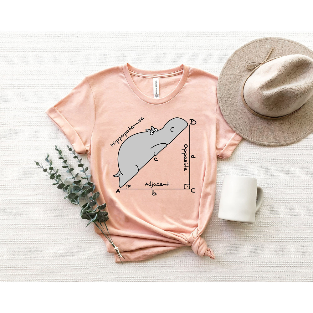 Funny Math Teacher T Shirt, Funny Hippopotenuse Shirt, Teacher Shirt, Geometry Teacher Gift, Gift for Teacher, Geometry Nerd Gift - 1.jpg