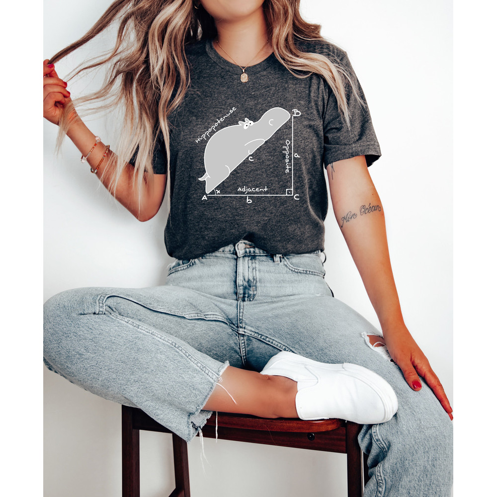 Funny Math Teacher T Shirt, Funny Hippopotenuse Shirt, Teacher Shirt, Geometry Teacher Gift, Gift for Teacher, Geometry Nerd Gift - 2.jpg