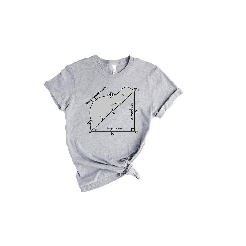 Funny Math Teacher T Shirt, Funny Hippopotenuse Shirt, Teacher Shirt, Geometry Teacher Gift, Gift for Teacher, Geometry Nerd Gift - 5.jpg