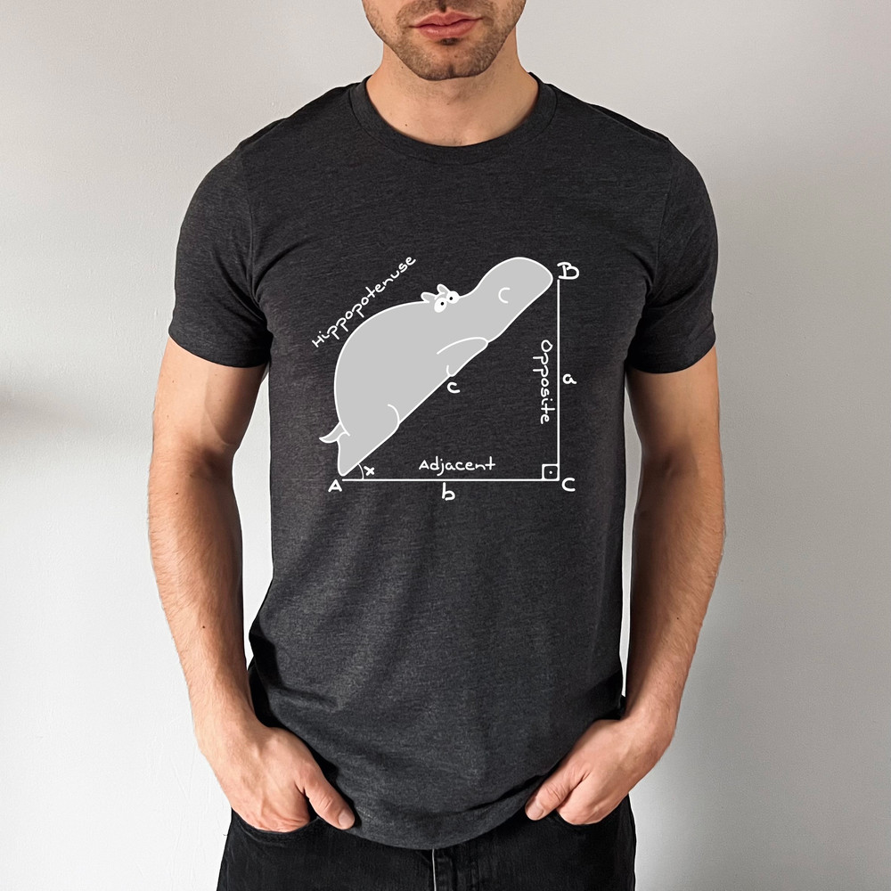 Funny Math Teacher T Shirt, Funny Hippopotenuse Shirt, Teacher Shirt, Geometry Teacher Gift, Gift for Teacher, Geometry Nerd Gift - 6.jpg