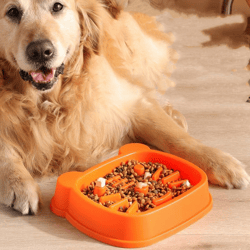 Food Bowl Dog Basin Small And Medium-sized Dogs Anti-choke Food Basin Large Rice Basin Pet Supplies Wholesale