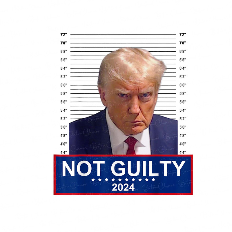 Trump 2024 Mugshot President Legend png, Trump Mug Shot PNG, Anti Biden, Donald Trump Never Surrender, Donald Trump Mug shot august 24 - 1.jpg
