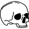skull 1.png